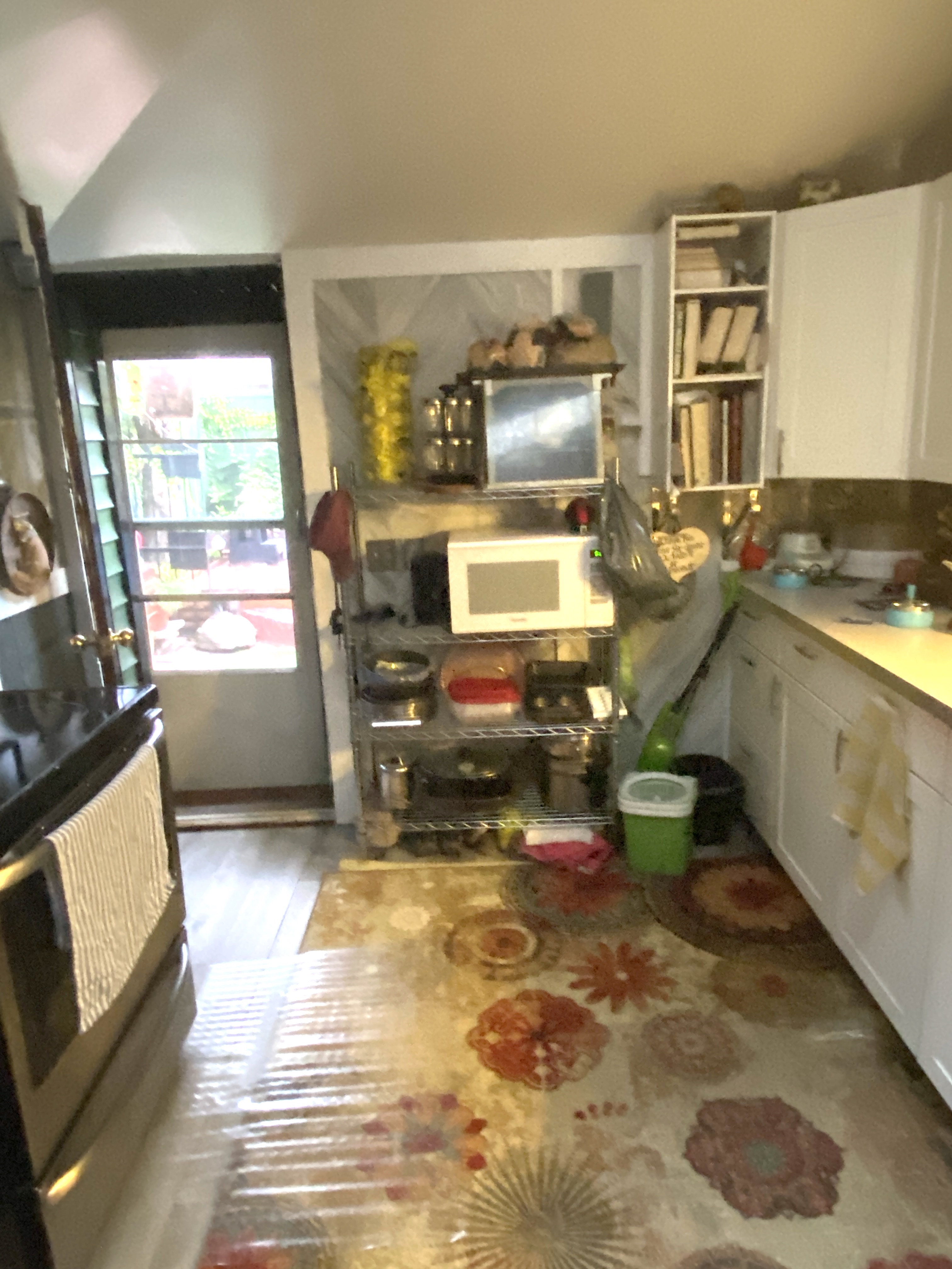 Hamilton kitchen before renovation